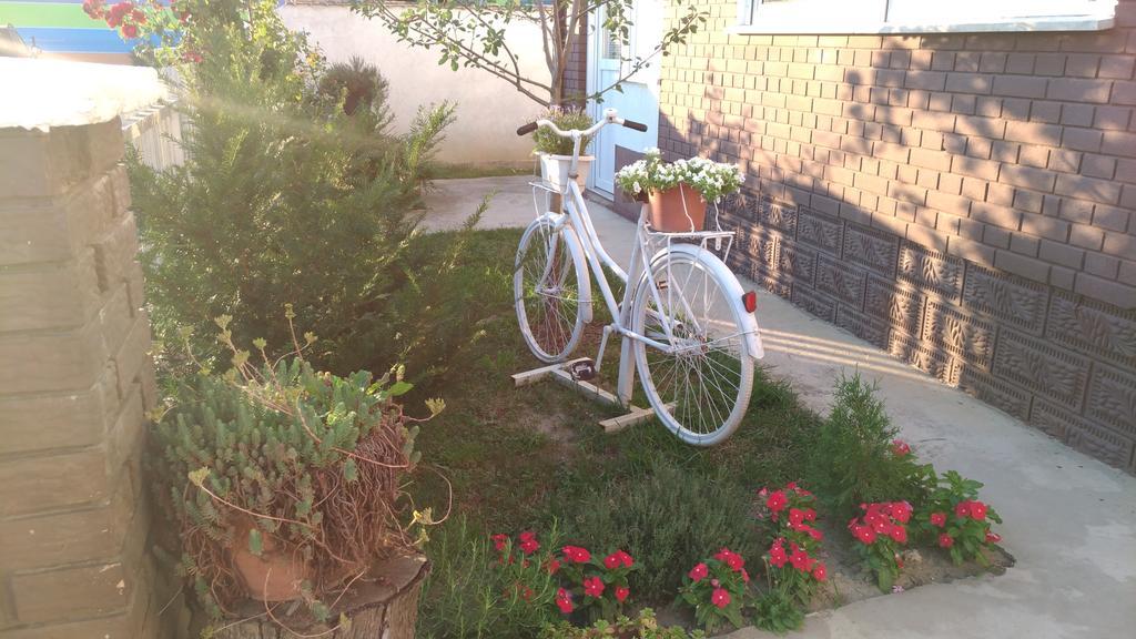 Bilje B&B Veber المظهر الخارجي الصورة
